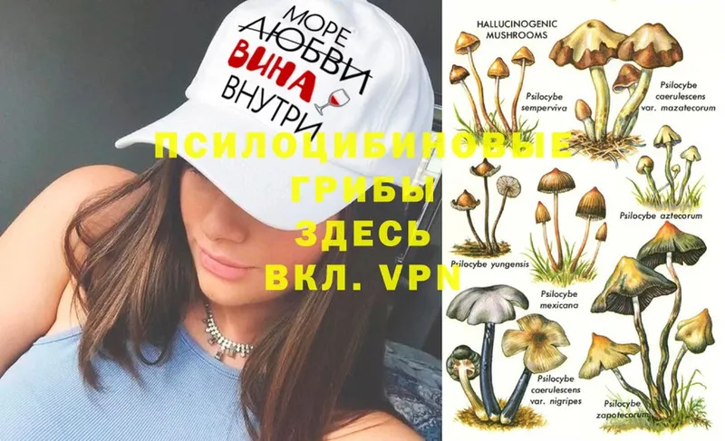 Галлюциногенные грибы MAGIC MUSHROOMS  Нариманов 